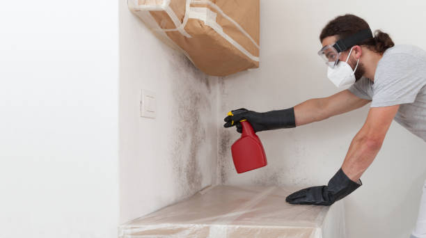 Professional Commercial Mold Remediation technician working in Holtsville, NY
